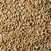 SEMENTE DE GIRASSOL DESCASCADA 300G